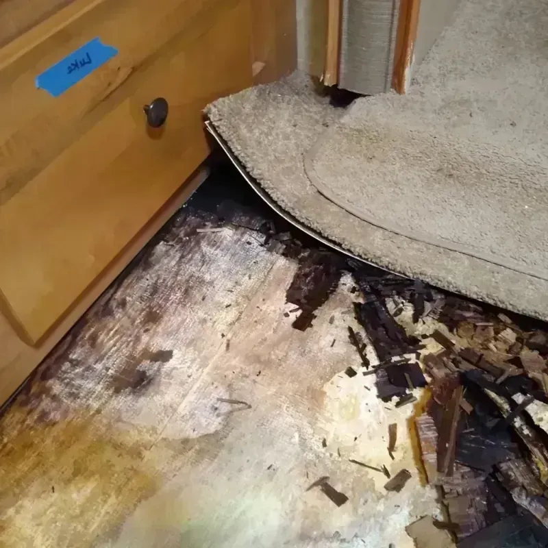 Best Wood Floor Water Damage Service in Woburn, MA